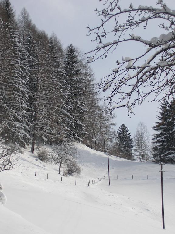 Gasthof Trattner Pension Waldhof Sankt Peter am Kammersberg Eksteriør billede